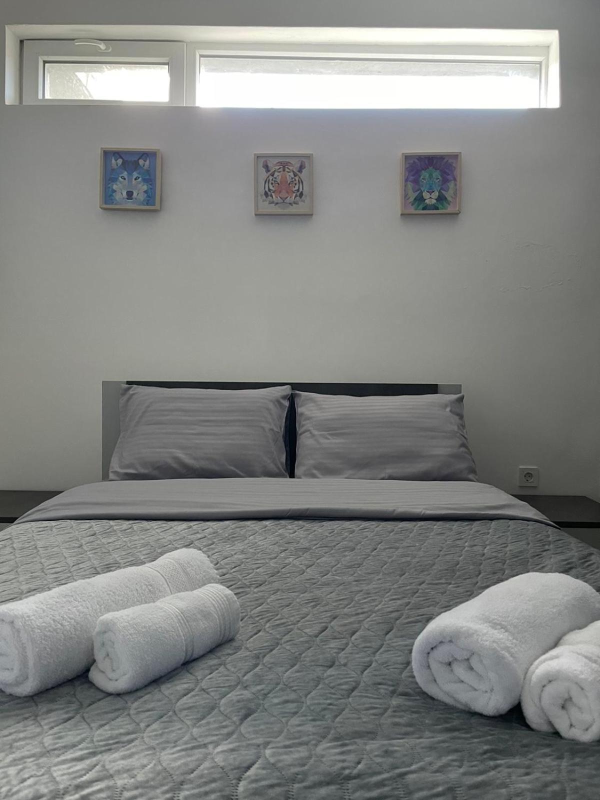 City View Apartment スコピエ エクステリア 写真